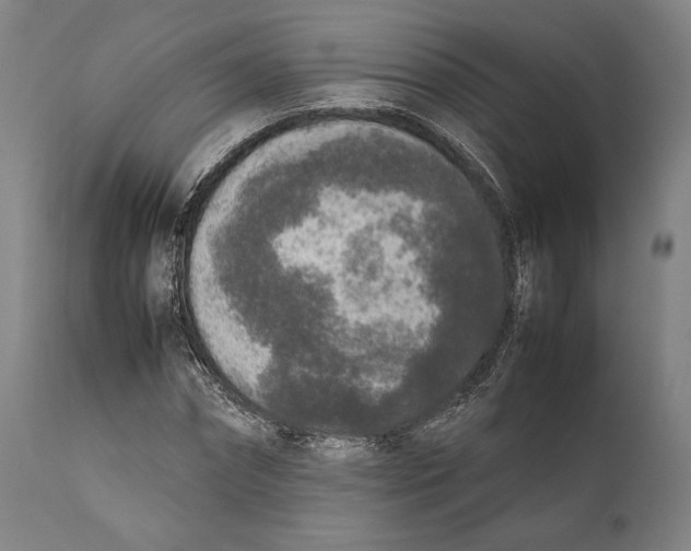 X0000111530874200908111223