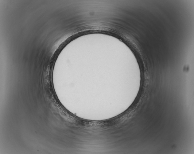 X0000111530875200908111223