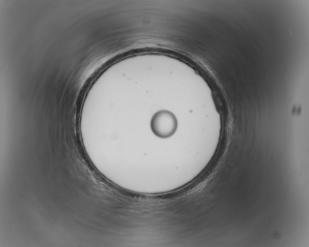 X0000111530877200908111223