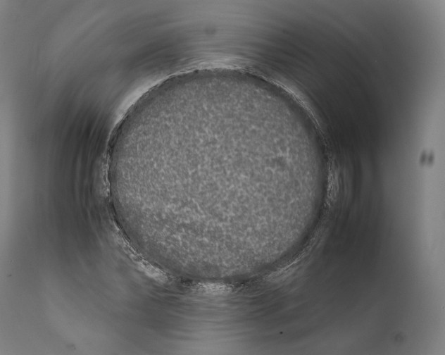 X0000111530878200908111223