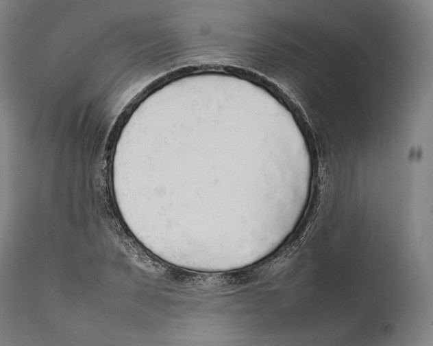 X0000111530879200908111223