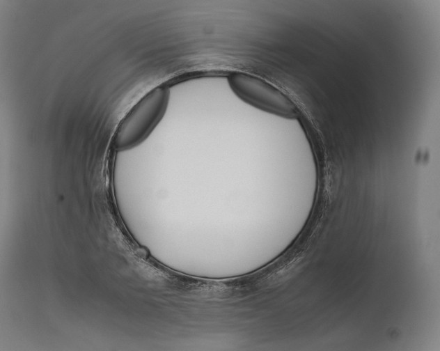 X0000111530885200908111223