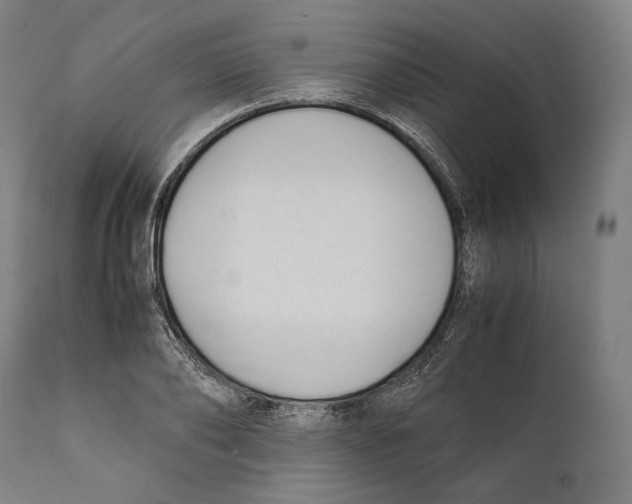 X0000111530886200908111223