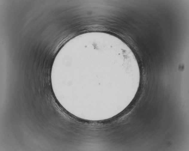 X0000111530889200908111223