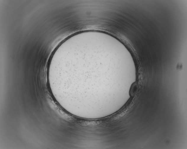 X0000111530892200908111223