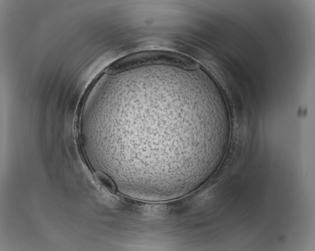 X0000111530893200908111223