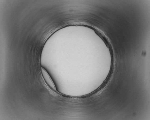 X0000111530897200908111223