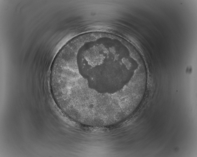 X0000111530899200908111223