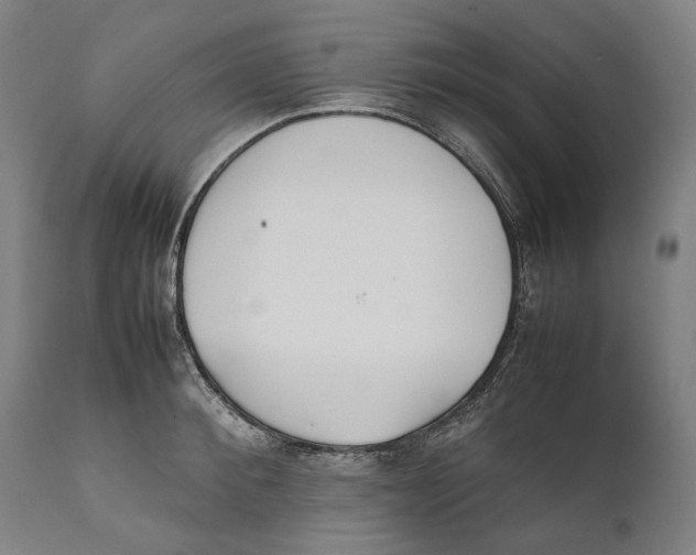 X0000111530900200908111223