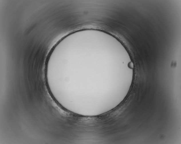 X0000111530902200908111223