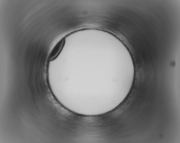 X0000111530904200908111223