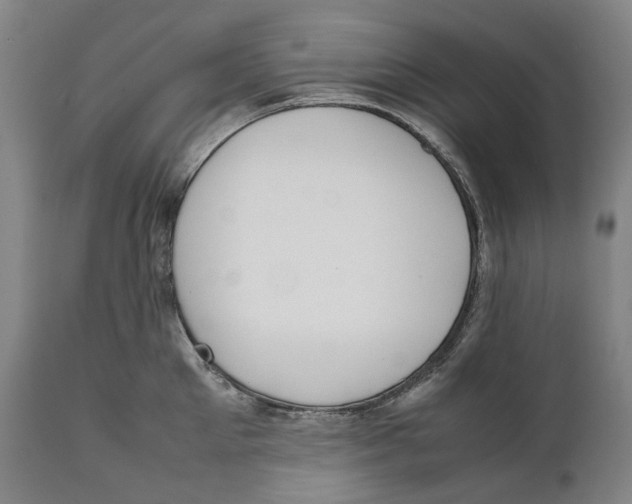 X0000111530905200908111223