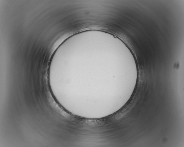 X0000111530906200908111223