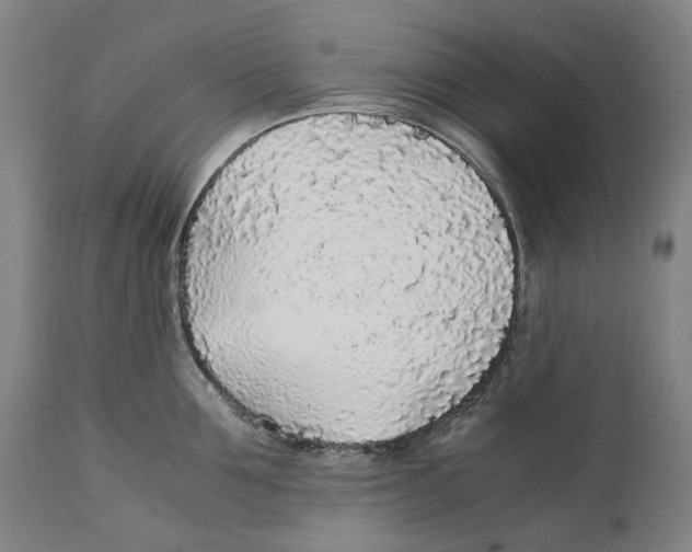 X0000111530907200908111223