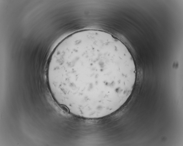 X0000111530908200908111223