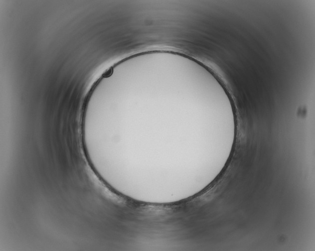 X0000111530910200908111223