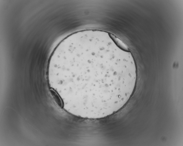 X0000111530912200908111223