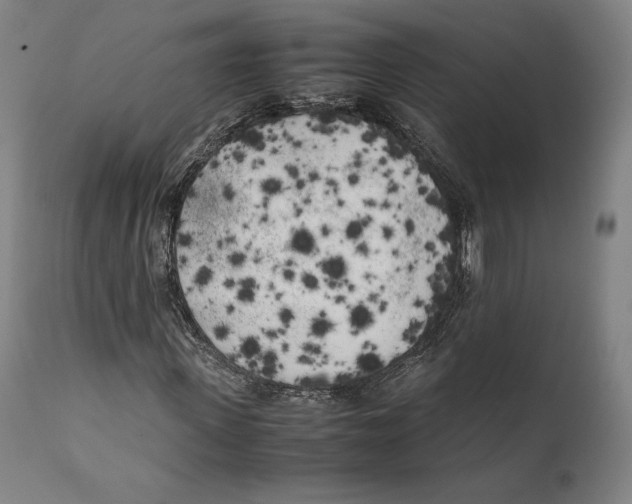 X0000111530915200908111222