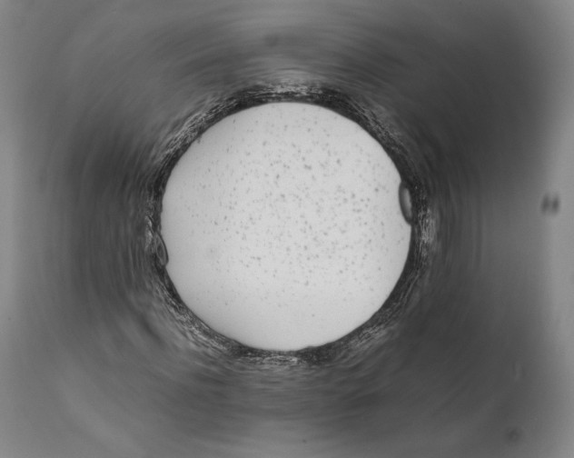 X0000111530916200908111222