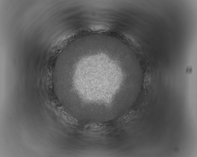 X0000111530917200908111222