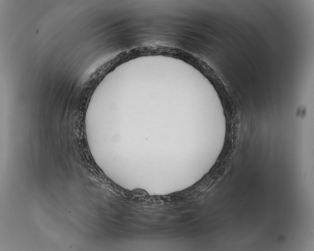 X0000111530919200908111222