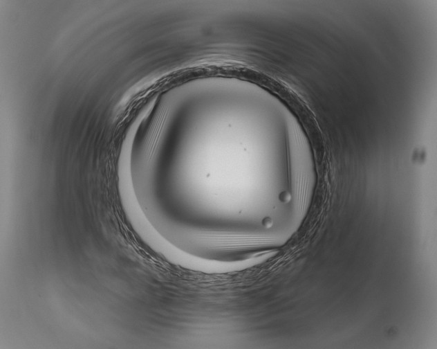 X0000111530920200908111222