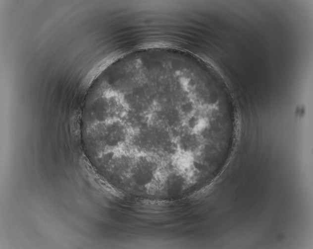 X0000111530921200908111222