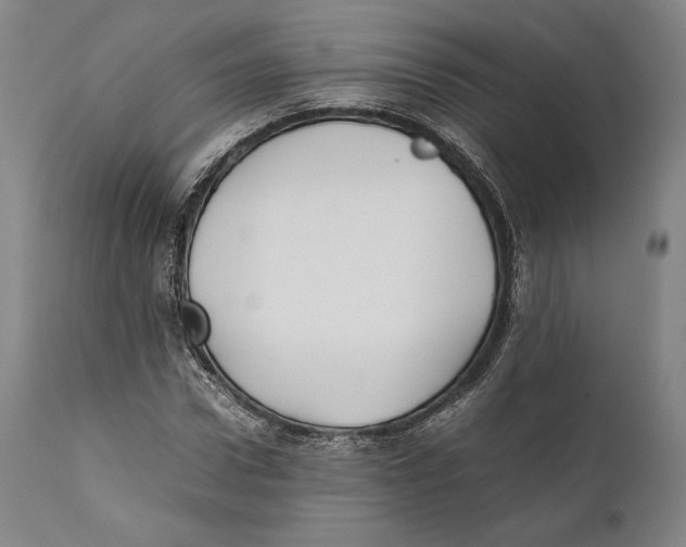 X0000111530922200908111222