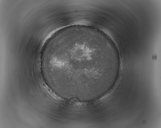 X0000111530923200908111222