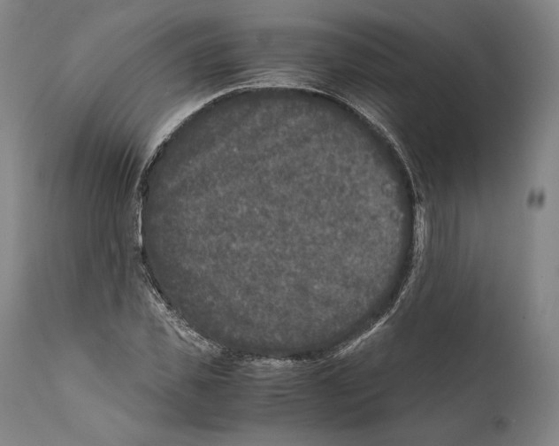 X0000111530925200908111222