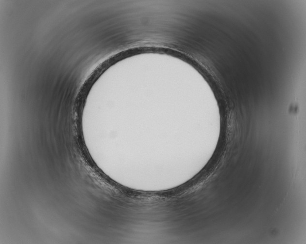 X0000111530926200908111222