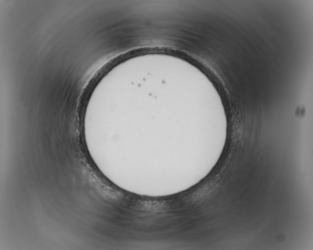 X0000111530927200908111222