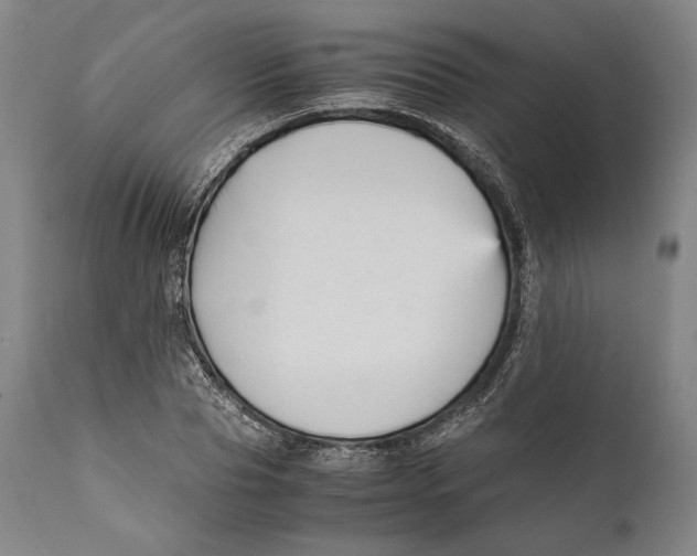 X0000111530929200908111222