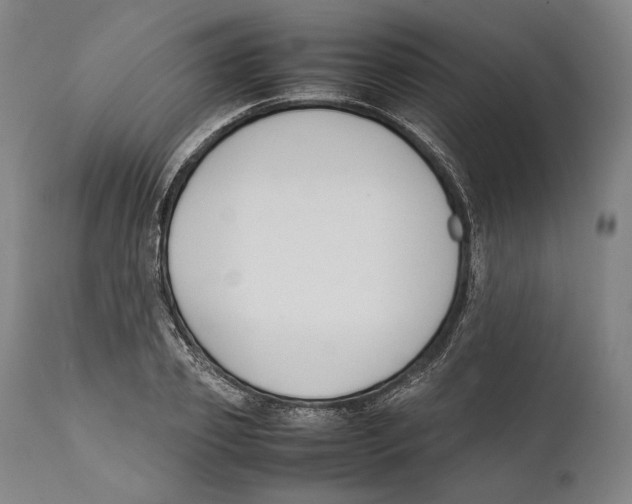 X0000111530933200908111222