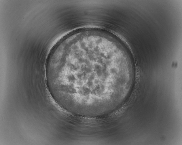 X0000111530935200908111222