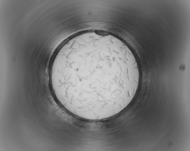 X0000111530936200908111222
