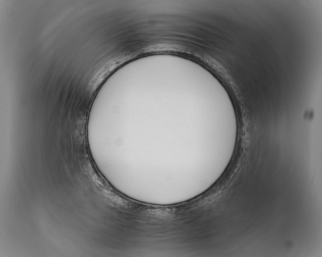 X0000111530937200908111222