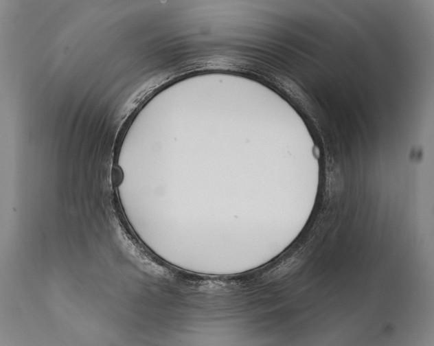 X0000111530938200908111222