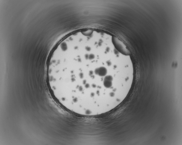 X0000111530940200908111222