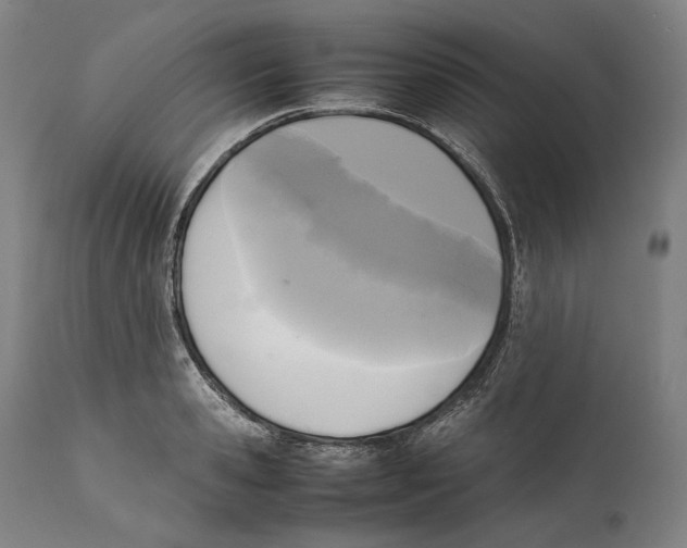 X0000111530941200908111222