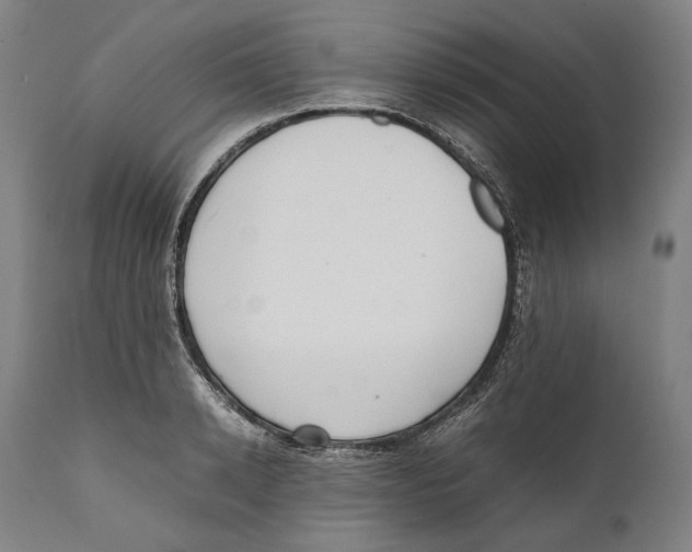 X0000111530942200908111222