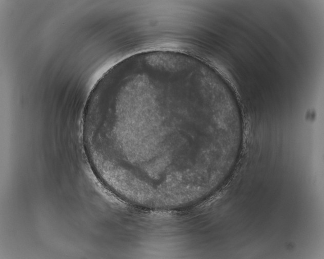 X0000111530944200908111222