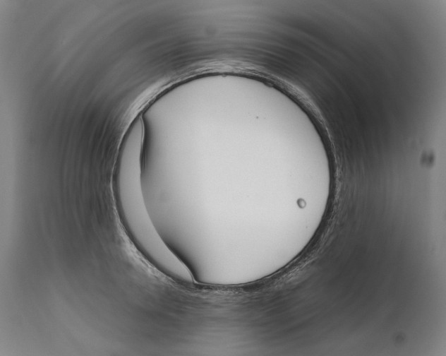 X0000111530946200908111223