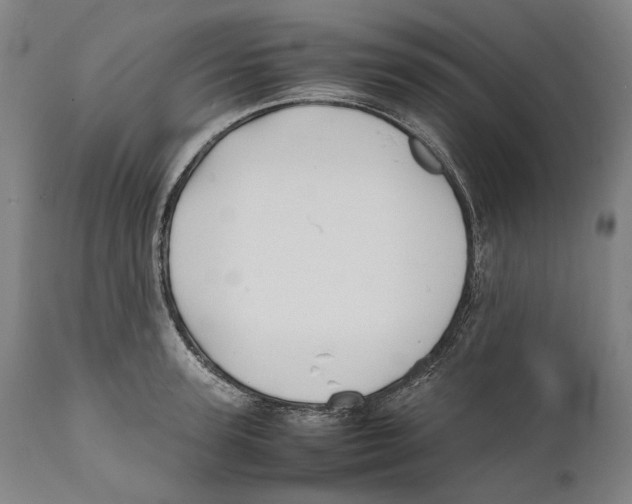 X0000111530947200908111223