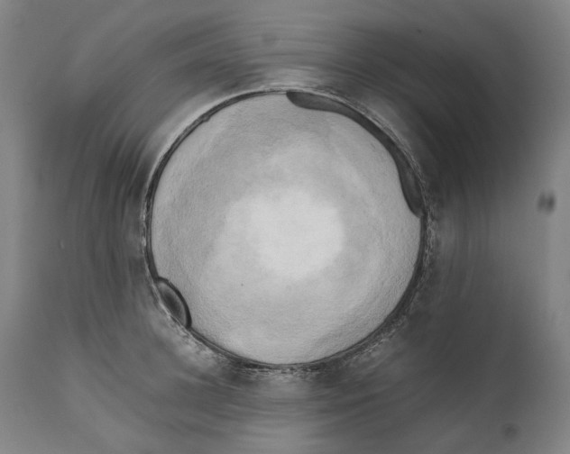 X0000111530948200908111223