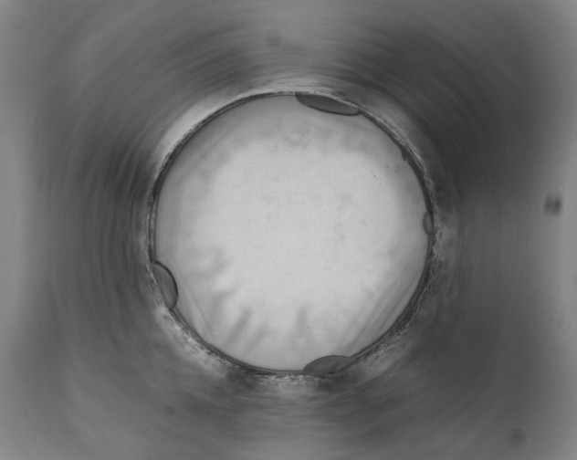 X0000111530952200908111223