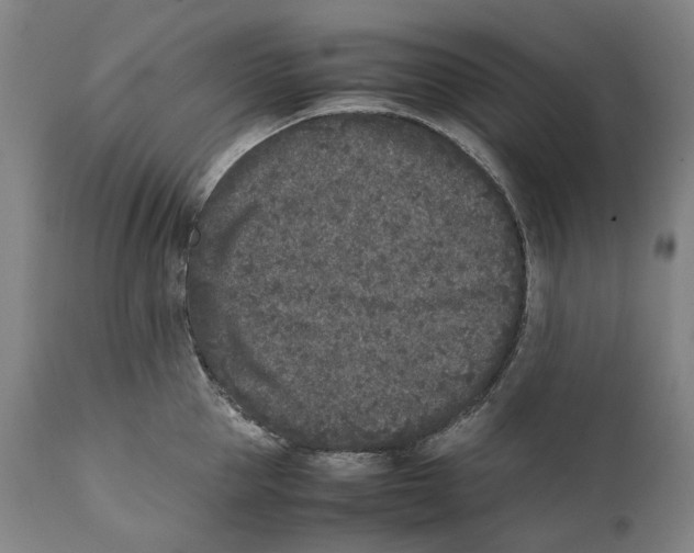 X0000111530953200908111223