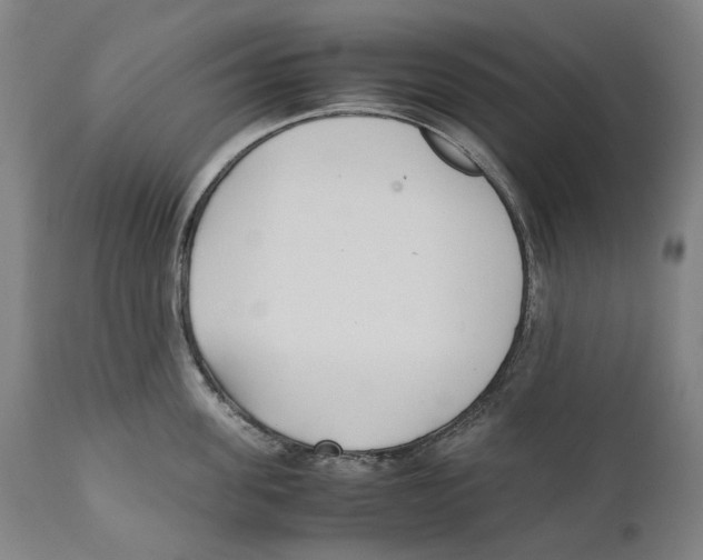 X0000111530955200908111223