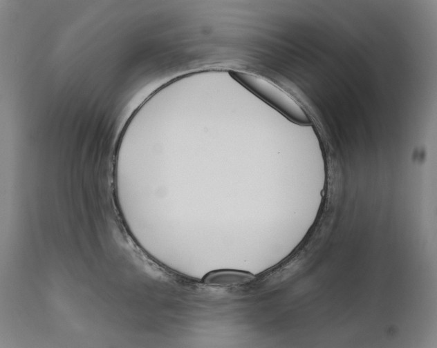 X0000111530956200908111223