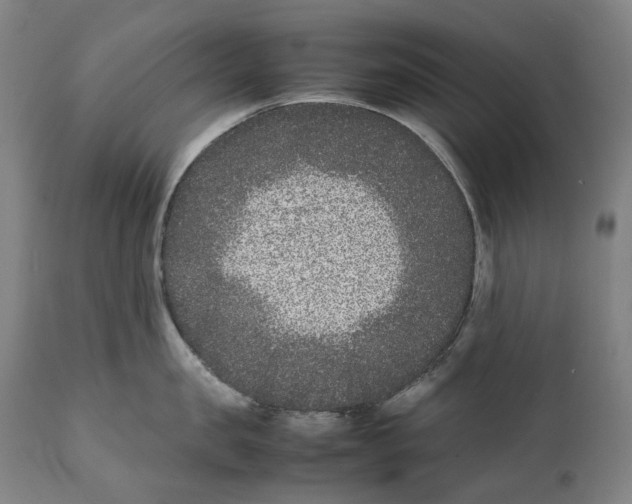 X0000111530957200908111223